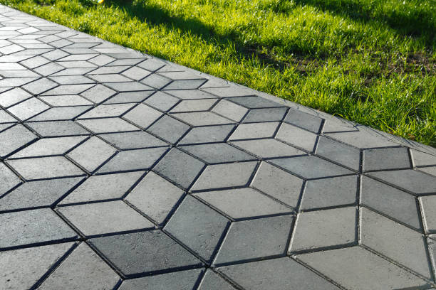 Best Custom Driveway Pavers  in Lenoir, NC