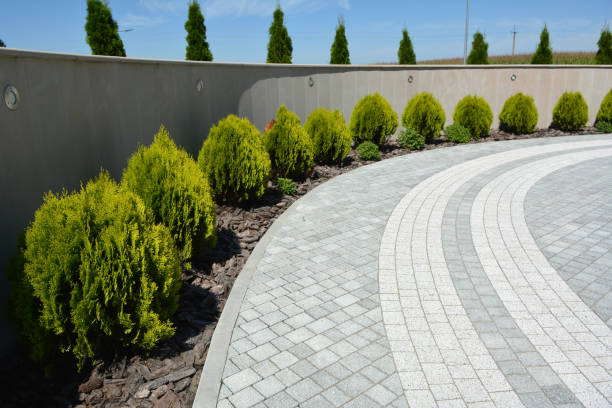Best Brick Driveway Pavers  in Lenoir, NC